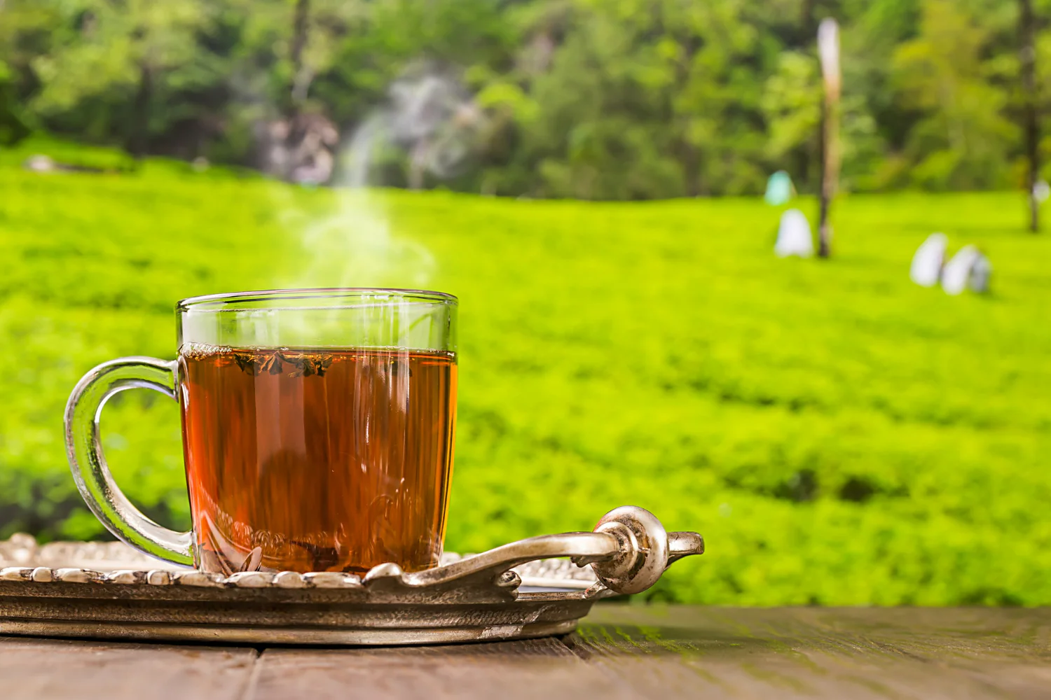 Supreme Tea Limited